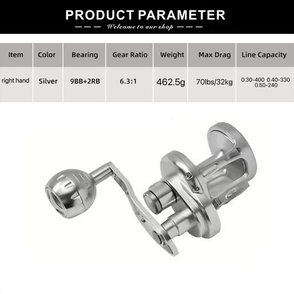 Saltwater Trolling Reel High S - Spincast Reel 评论和价格